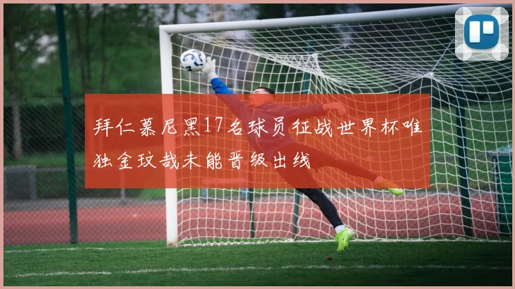 拜仁慕尼黑17名球员征战世界杯唯独金玟哉未能晋级出线