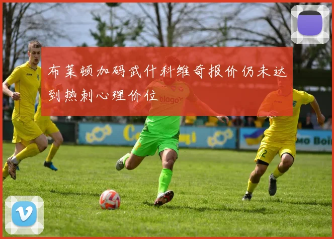 布莱顿加码武什科维奇报价仍未达到热刺心理价位